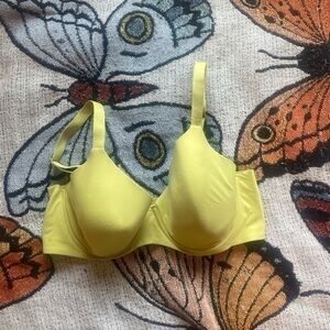 aerie bra